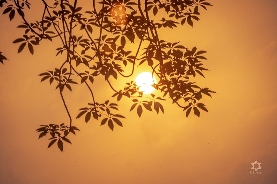 Sunset Hero Background